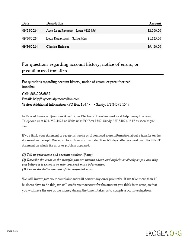 Modèle Word et PDF de relevé bancaire USA Synovus Bank, 3 pages 2